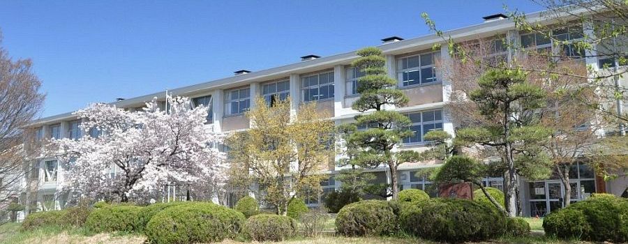 SOMEYAレポート（外部サイト）